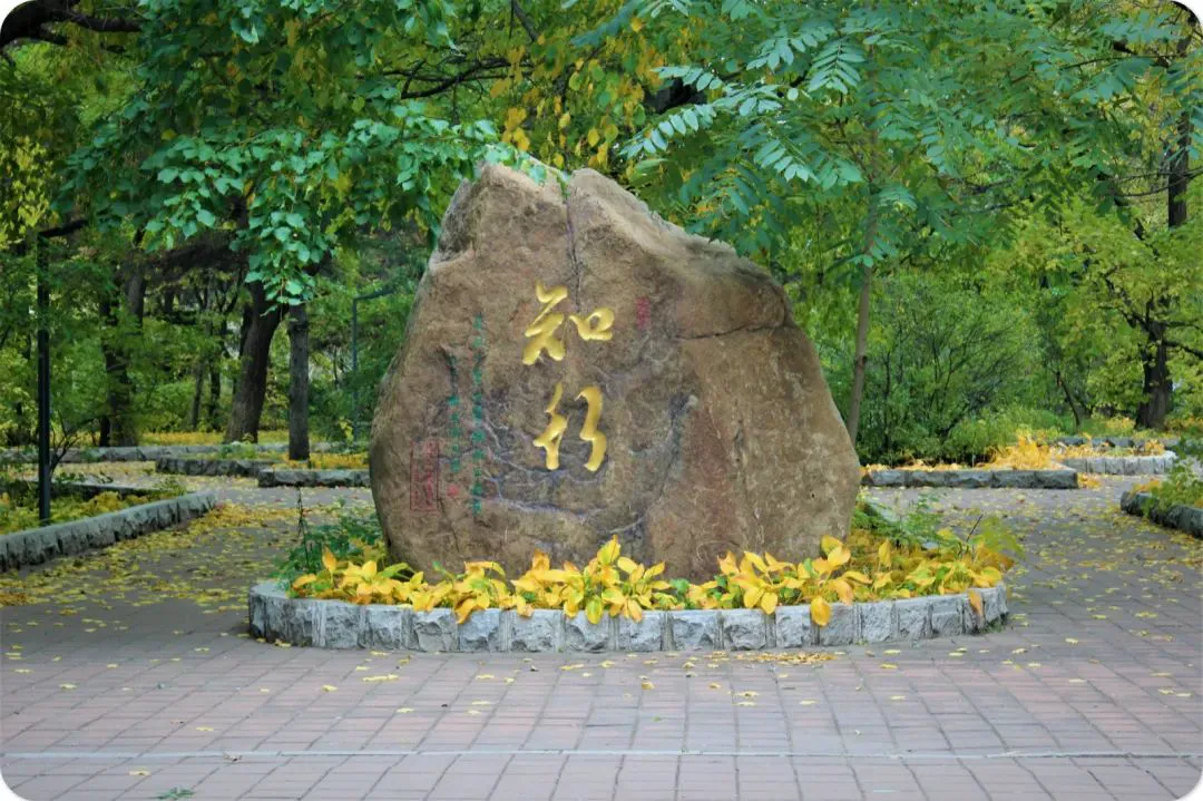 篮球训练后总结与反思_1